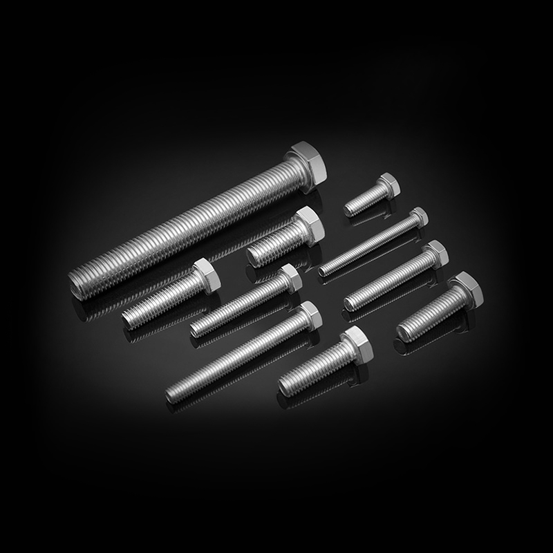 ASME/ANSI B18.2.1 (ANSI) Stainless Steel Hexagon Head Bolts ASME/ANSI B18.2.1 (ANSI) Stainless Steel Hexagon Head Bolts