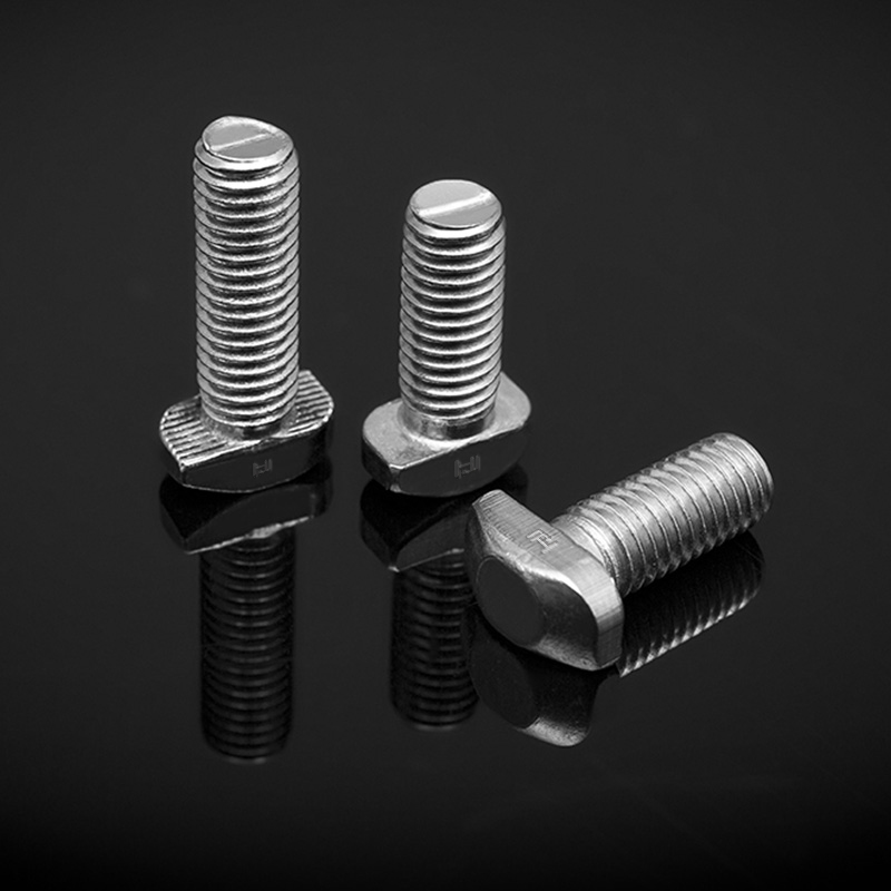 DIN 261 Stainless Steel T-Bolts
